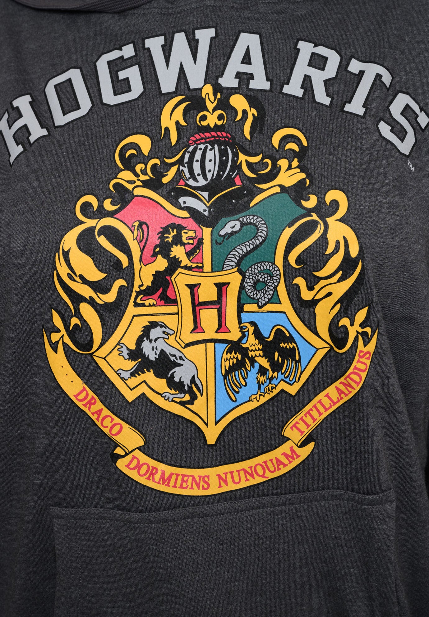 Draco store champion hoodie