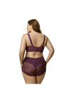 Full-Lace Underwire Bra, , alternate image number null