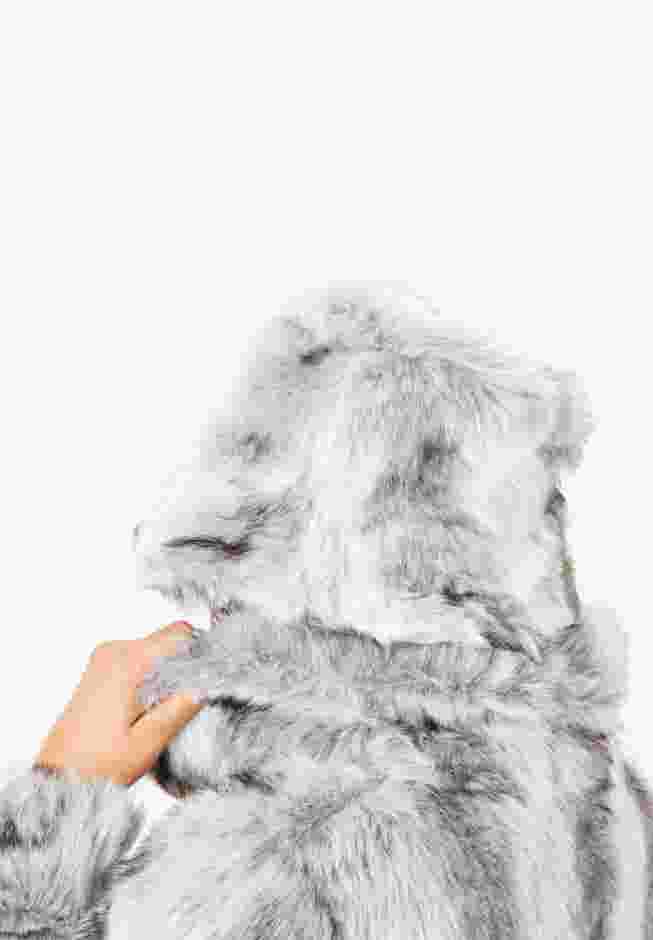 Faux Fur Hat image number 1