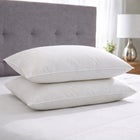 2-Pack Quilless Feather-Filled Pillows image number null