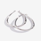 Teardrop Earring image number null