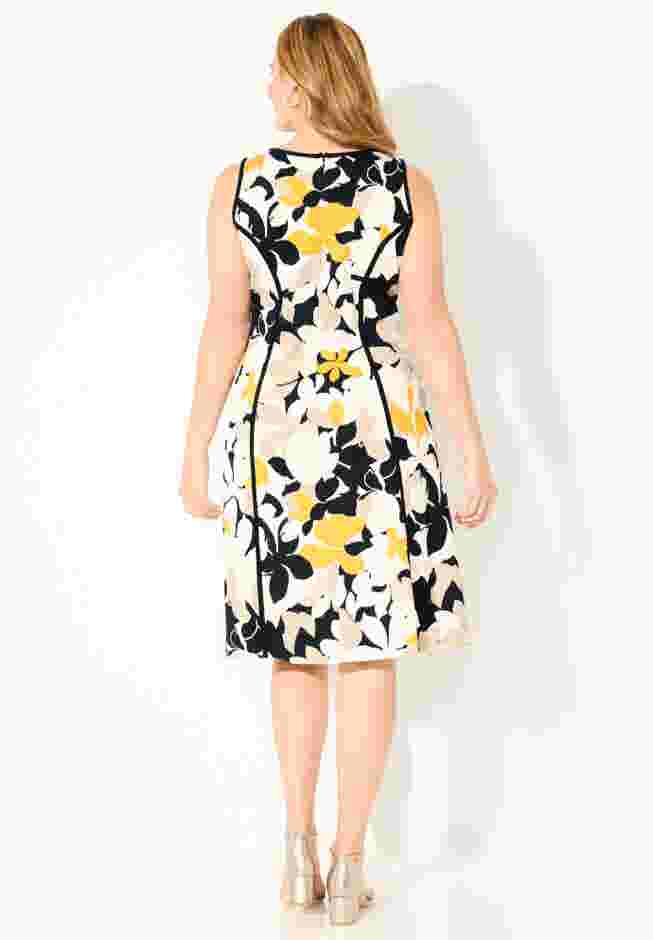 Fit & Flare Sleeveless Dress image number 1