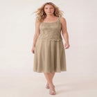 Glitter & Lace Jacket Dress Set image number null