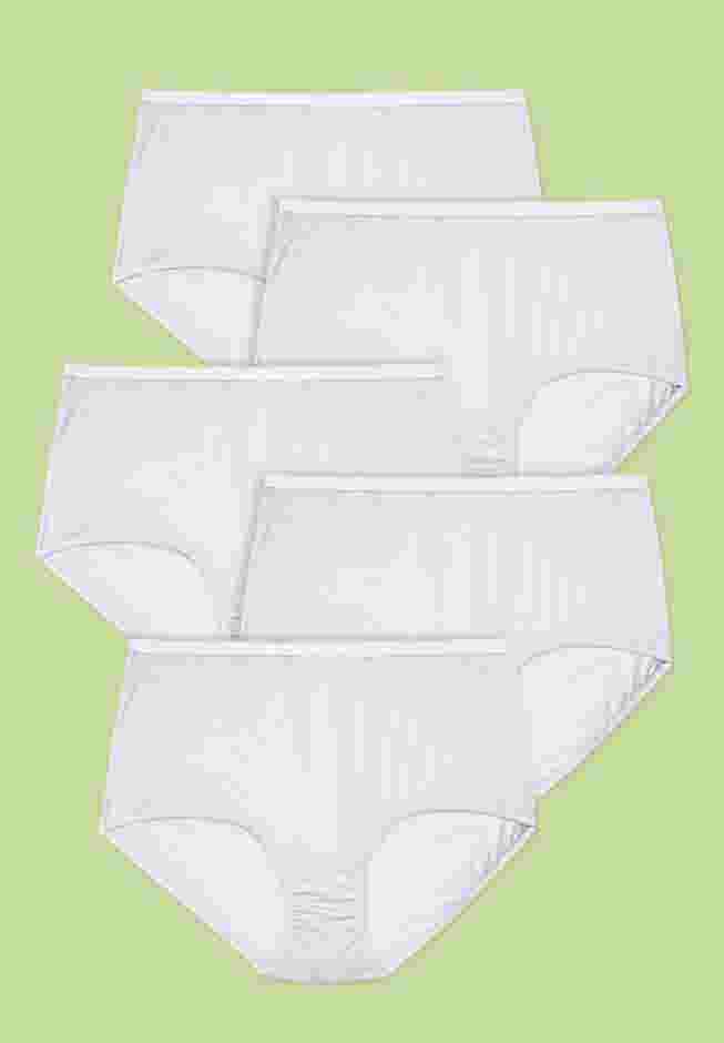 Full Coverage Nylon Brief 5-Pack image number 0