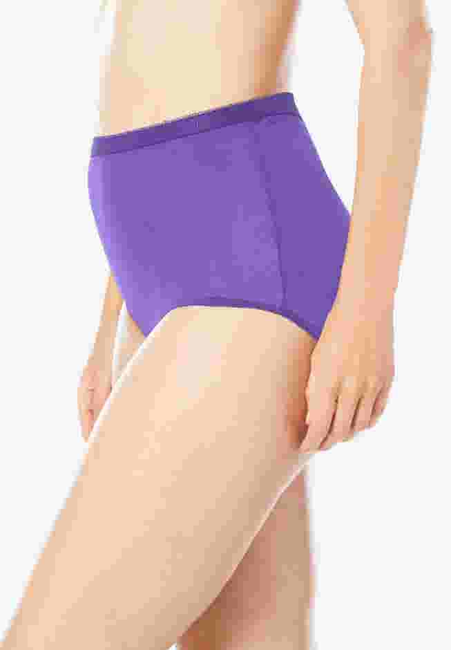 Full Coverage Nylon Brief 10-Pack image number 3