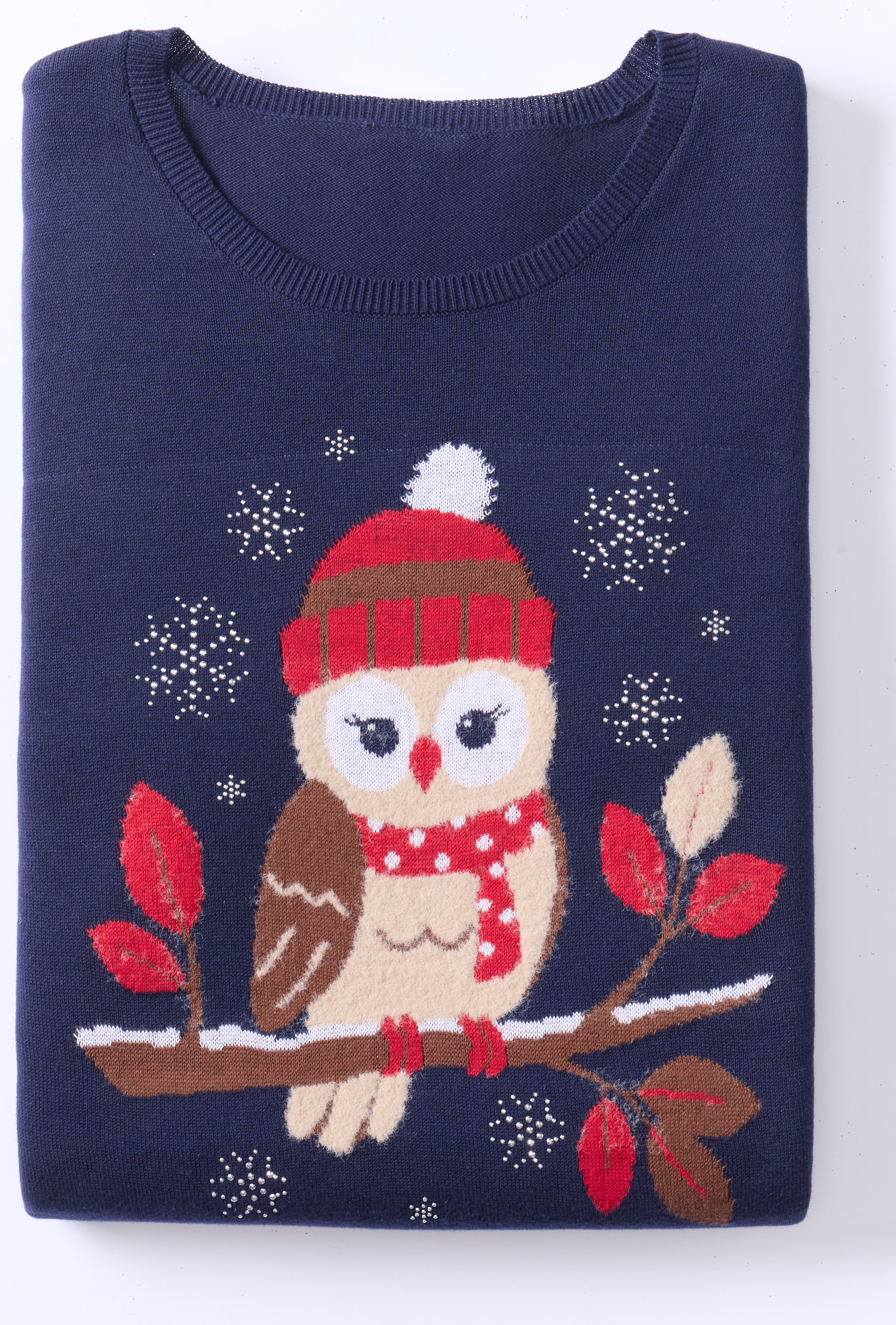 Cozy Whimsy Sweater image number 1