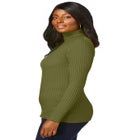 Ribbed Cotton Turtleneck Sweater image number null