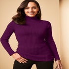Ribbed Cotton Turtleneck Sweater image number null