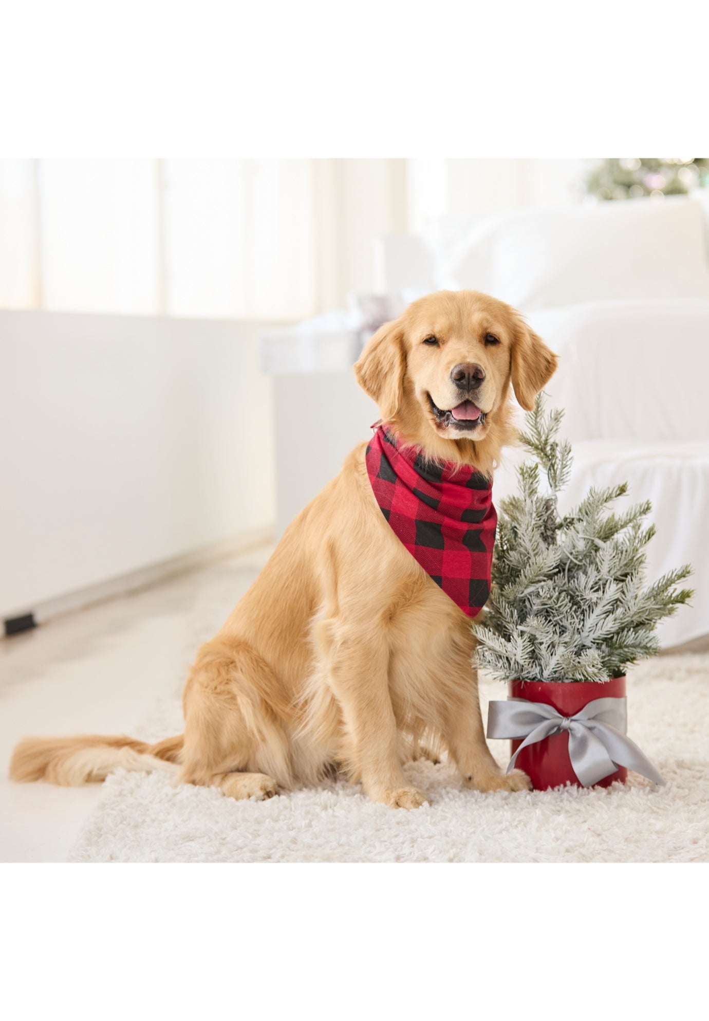 Long Sleeve Knit PJ Set image number 8