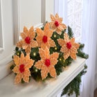 Tree Clips, Set of 6 image number null