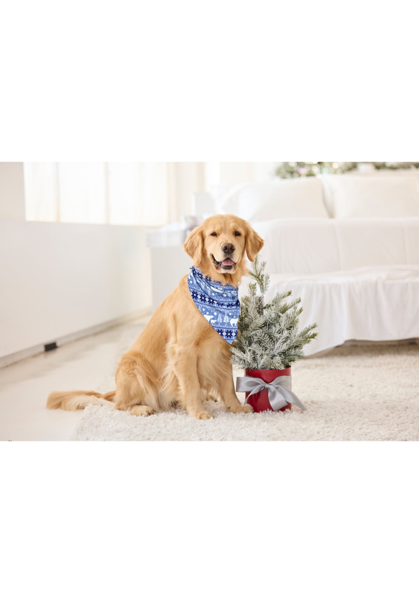 null image number null