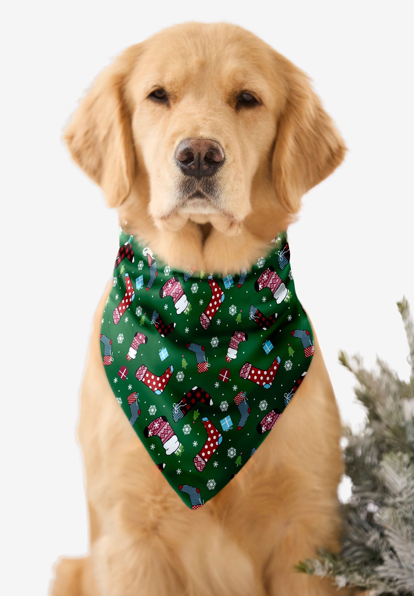 Pet Scarf image number 0