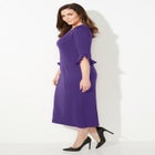 Ruffle Sleeve Shift Dress image number null