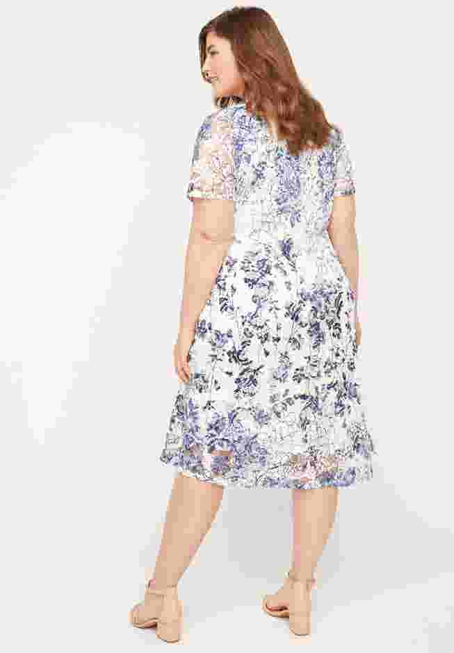Indigo Lace A-Line Dress image number 1