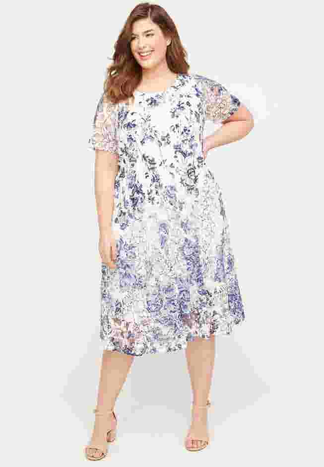 Indigo Lace A-Line Dress image number 0