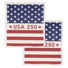  6-PAmericana Swedish Sponge Cloth Set image number null