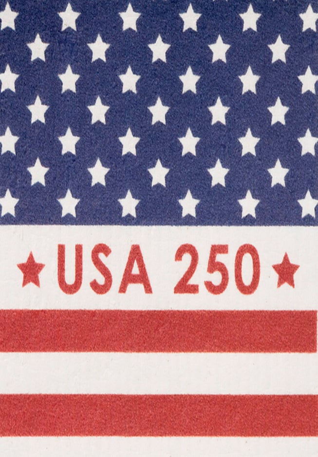  6-PAmericana Swedish Sponge Cloth Set image number 2