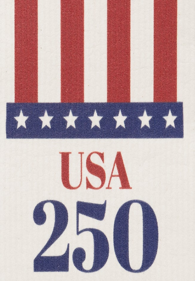  6-PAmericana Swedish Sponge Cloth Set image number 5