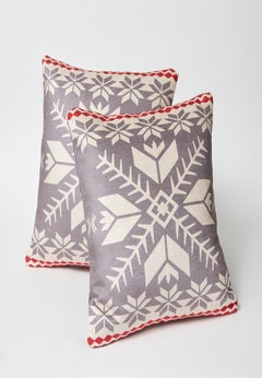 Set of 2 Decorative Pillows, 20" x 20