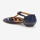 The Josephine Pump image number null