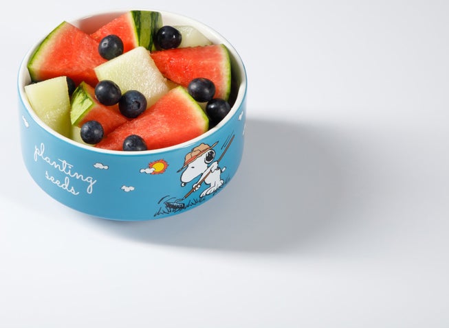 Snoopy’s Garden Patch 6-Piece Stackable Bowl Set image number 11