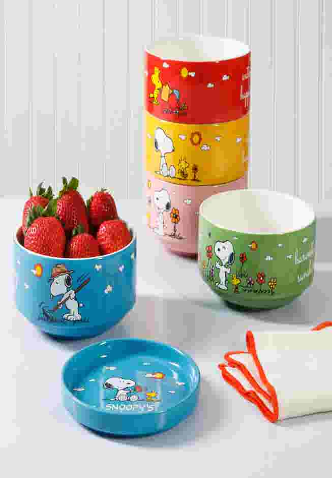 Snoopy’s Garden Patch 6-Piece Stackable Bowl Set image number 0