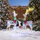 Pre-lit Prismatic Reindeer Family, Set of 3 image number 1
