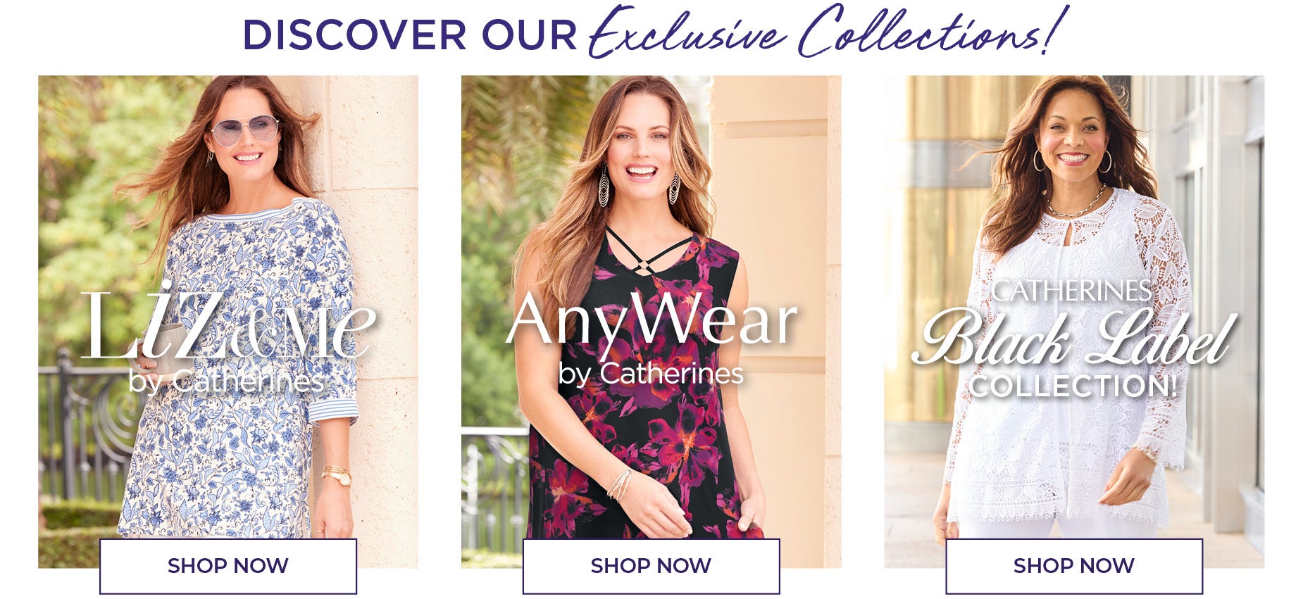 Discover our Exclusive Collections!